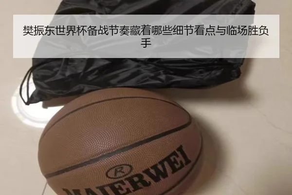 樊振东世界杯备战节奏藏着哪些细节看点与临场胜负手 - bet365