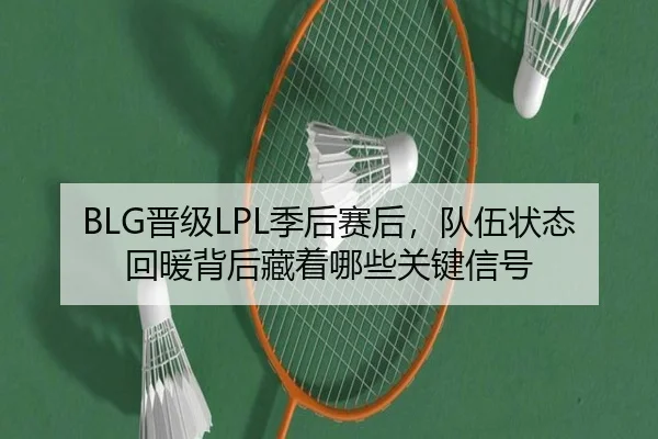 BLG晋级LPL季后赛后，队伍状态回暖背后藏着哪些关键信号（bet365）